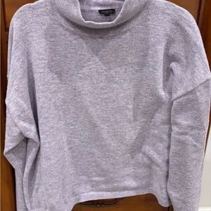 Talbots Women's Light Gray/Orchid Turtleneck Sweater